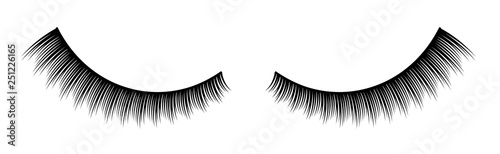 Creative vector illustration of false eyelashes, female lashes, mascara lash brush isolated on transparent background. Art design thick cilia beautiful make-up. Abstract concept graphic element