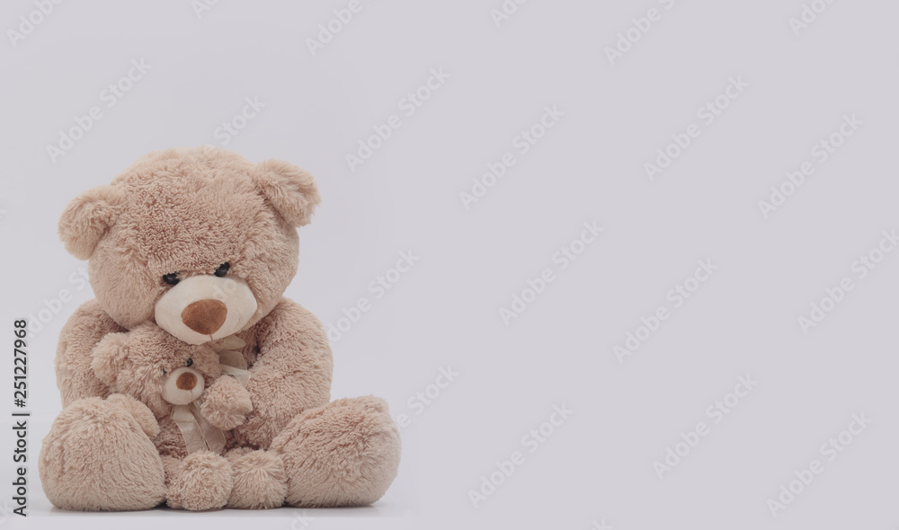 Fototapeta premium Miś mama przytula syna na białym tle