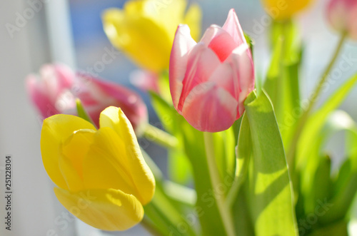 colorful bouquet of tulips on the background of the window, yellow and pink spring flowers