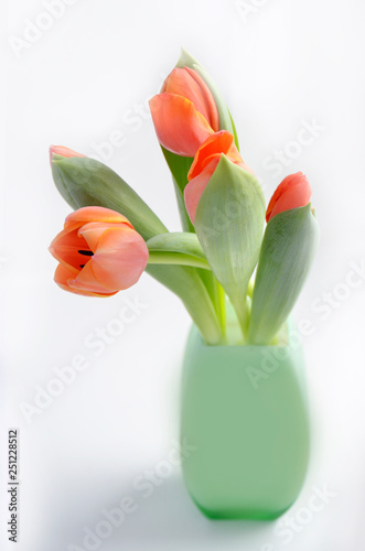 colorful tulip flowers background