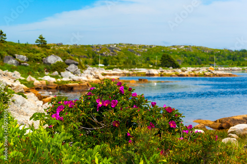 View of Peggy Cove preservation areas, along Highway 333 and coastline St. Margaret Bay in Nova Scotia, Canada