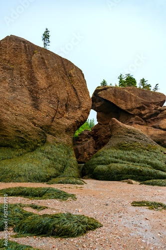 The Bay of Fundy in Canada with the highest tides on earth is one of the natural wonders of the world