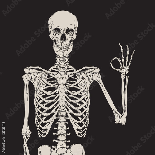 Human skeleton posing isolated over black background vector illustration. Hand drawn gothic style placard, poster or print design.