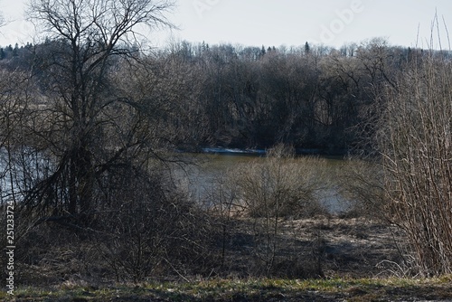 Brown Forest Blue water river Nevezis in Lithuania