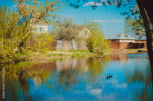 Fototapeta Naklejka Na Ścianę i Meble -  Small country houses and pond with two ducks on spring