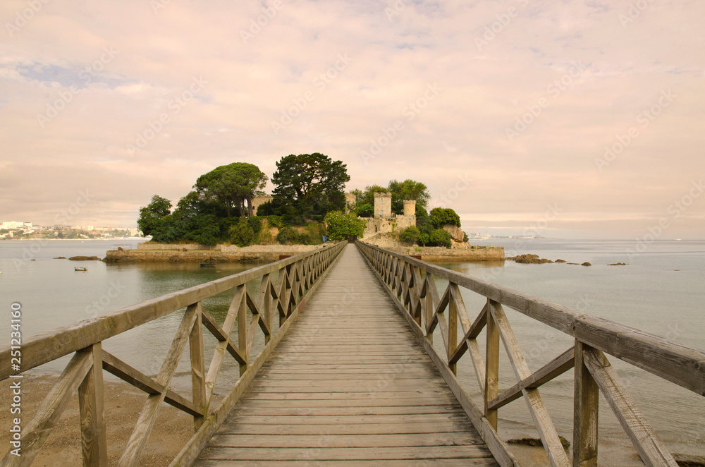 Fototapeta premium Puente