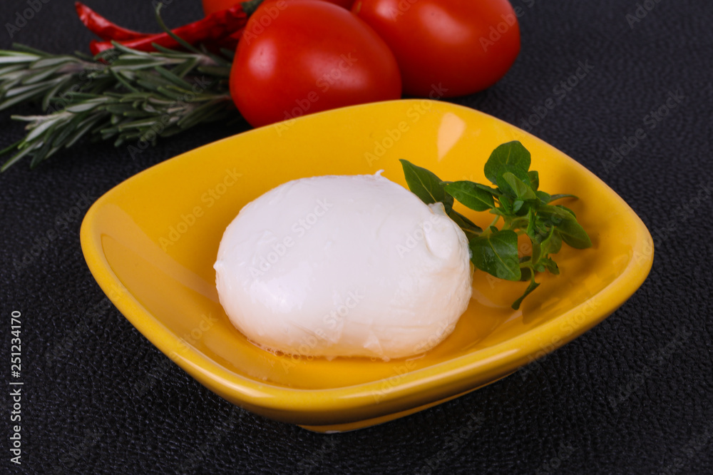 Italian Mozzarella cheese ball Italian Mozzarella cheese ball
