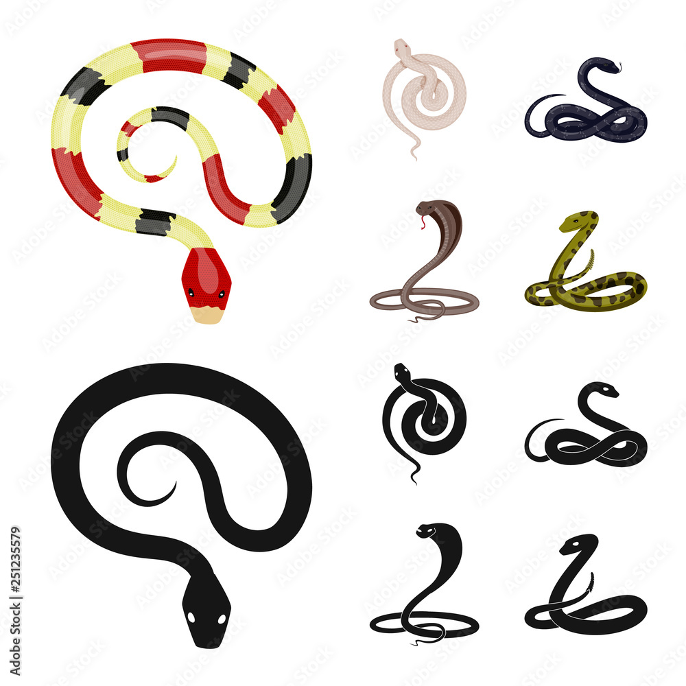 Vector illustration of mammal and danger icon. Set of mammal and medicine stock symbol for web. Vector illustration of mammal and danger icon. Set of mammal and medicine stock symbol for web.