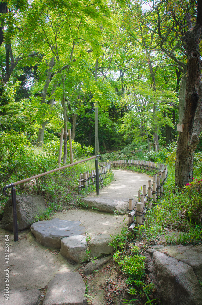 Jardín Japonés Jardín Japonés