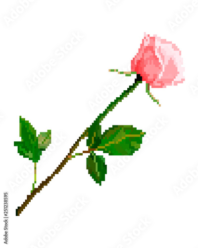 Pixel art rose flower isolated on white background