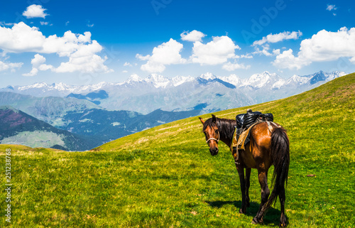 View on horse in scenic landscape of Tusehti, Georgia