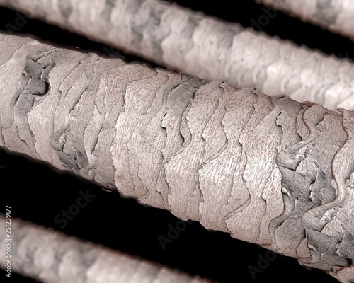 Human hair microscope