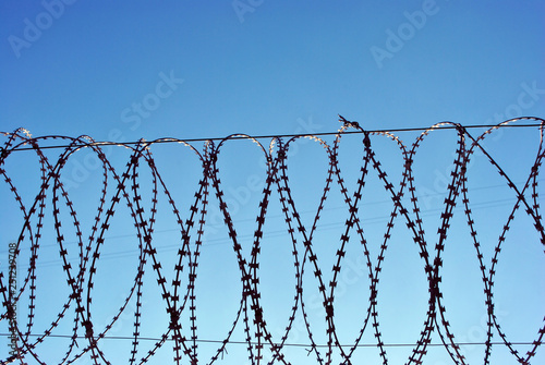 Jail fence top with barbed wire, winter blue bright sky background