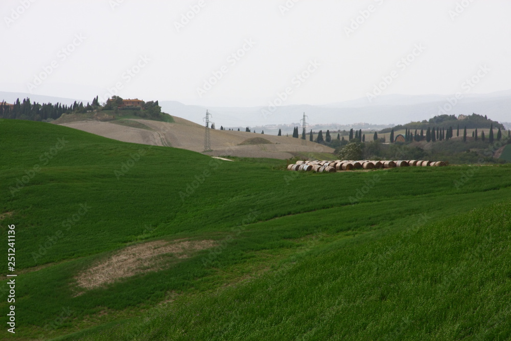 Naklejka premium toscana
