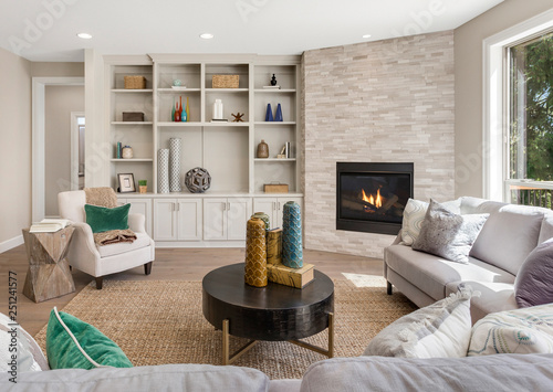 Beautiful Furnished Living Room Interior in New Home with Furniture and Fireplace