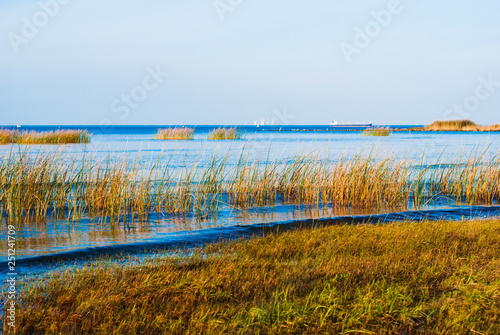 reed field and blue lake view