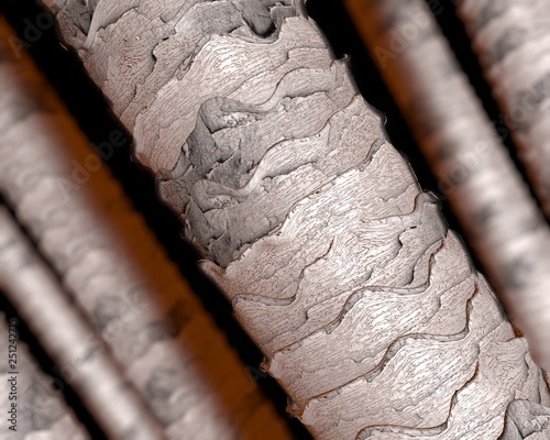 Human hair under microscope, 3D illustration showing close-up structure of healthy human hair 