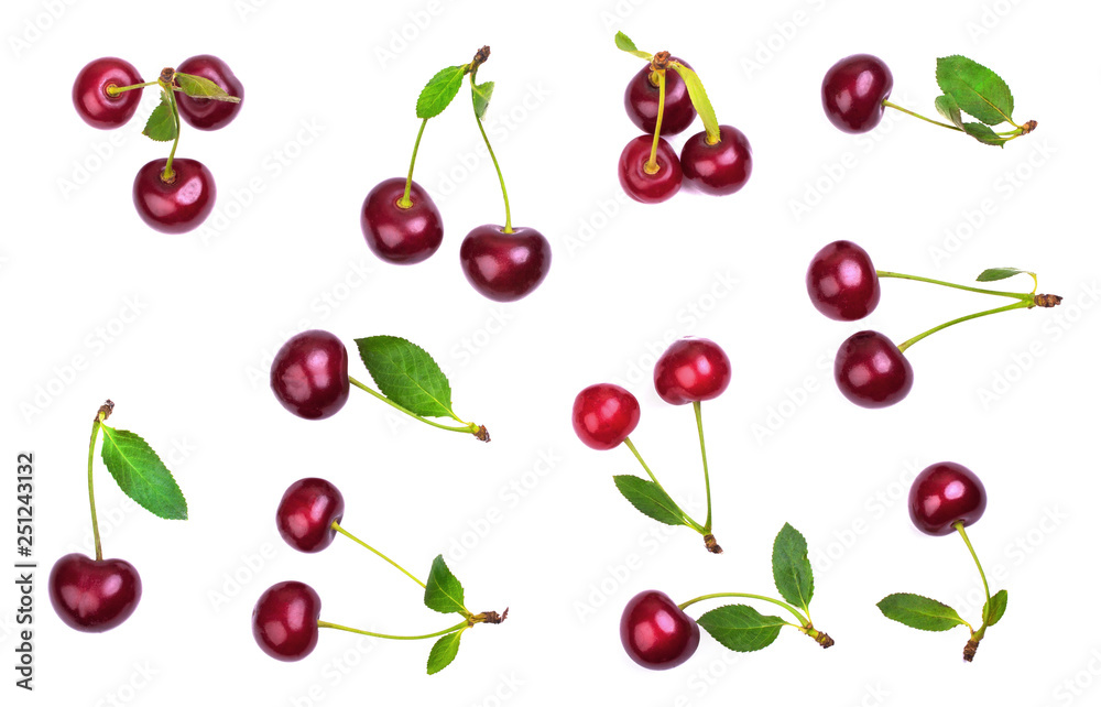 Group of ripe cherries with sprigs and leaves Group of ripe cherries with sprigs and leaves