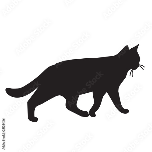 Cat vector silhouette illustration © Maxim P