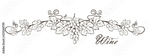 illustration of grape bunches with leaves