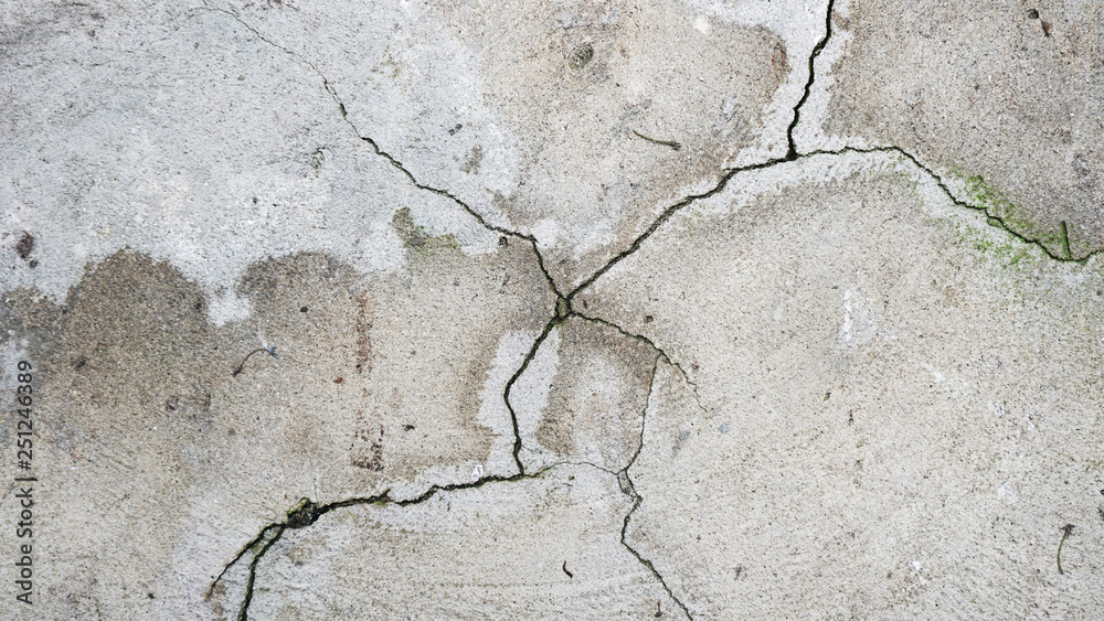 Fototapeta premium a cracked cement floor with green moss