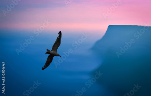Seagull flies in the sky over the sea. Landscape of sunset at the sea shore.