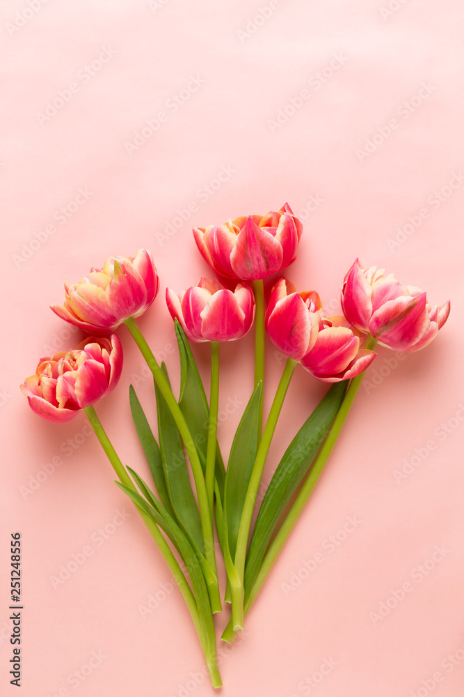 Fototapeta premium Spring flowers tulips on pastel colors background. Retro vintage style.