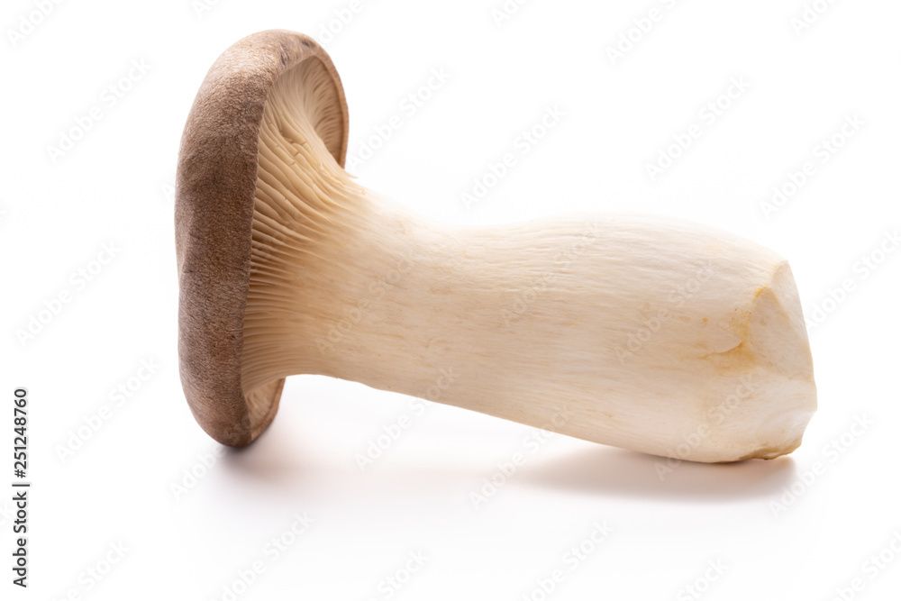 King oyster mushroom on white background.