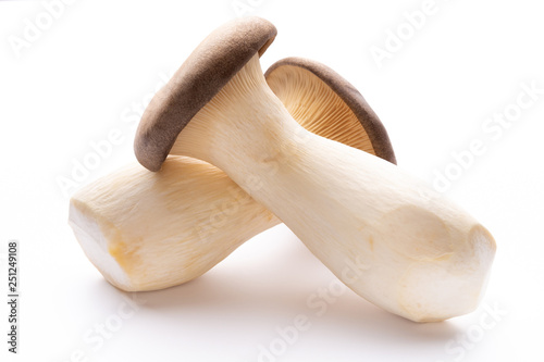 King oyster mushroom on white background.