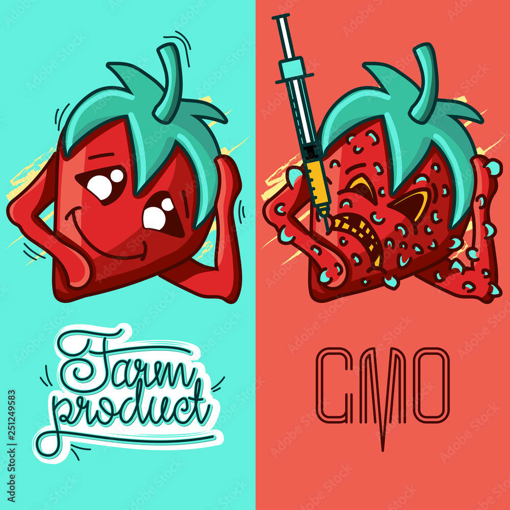 Vecteur Stock Set of vector illustrations of a farm product vs GMO syringe.  healthy organic food vs harmful GMO foods. character Strawberry | Adobe  Stock
