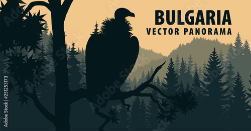 vector panorama of Bulgaria with Griffon vulture photo