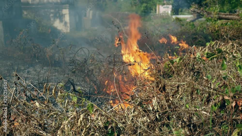 Burning off brush and pasture land ( close up ) Burning off brush and pasture land ( close up )