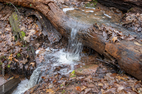 waterfall in forest