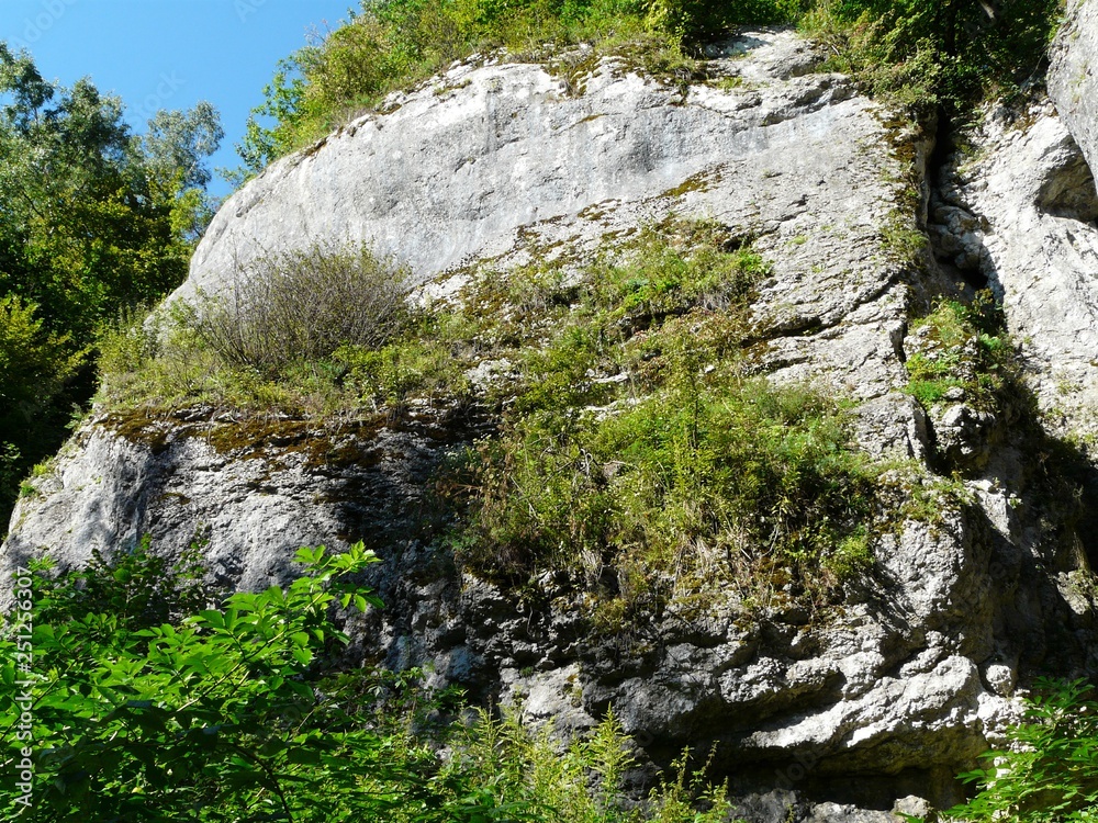 DOLINA BRZOSKWINI PODKRAKOWSKIE DOLINKI JURAJSKIE JURA KRAKOWSKO-CZĘSTOCHOWSKA POLSKA DOLINA BRZOSKWINI PODKRAKOWSKIE DOLINKI JURAJSKIE JURA KRAKOWSKO-CZĘSTOCHOWSKA POLSKA