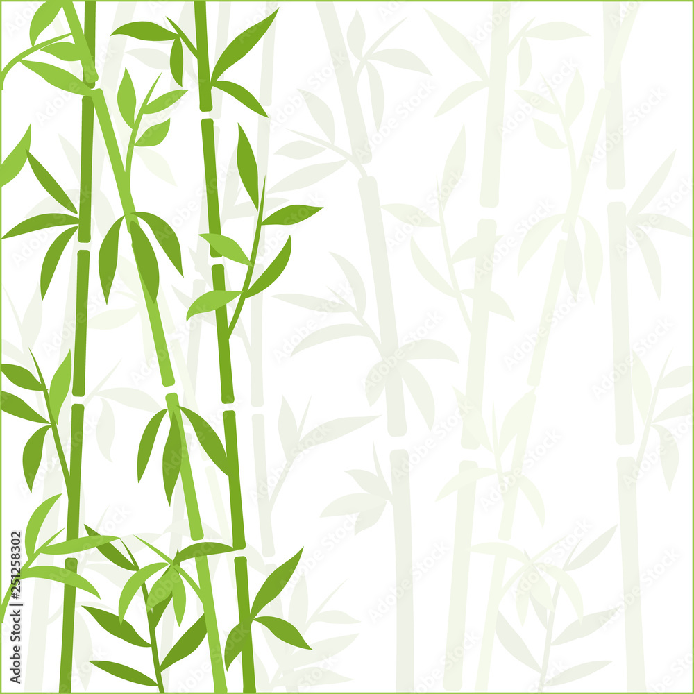 New Bamboo Wallpaper Model In 2020