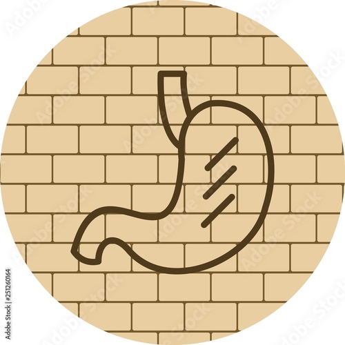 Vector Stomach Icon