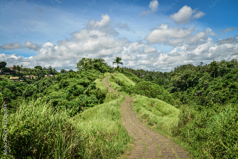 Campuhan Ridge Walk, Ubud, Bali, Indonesia.