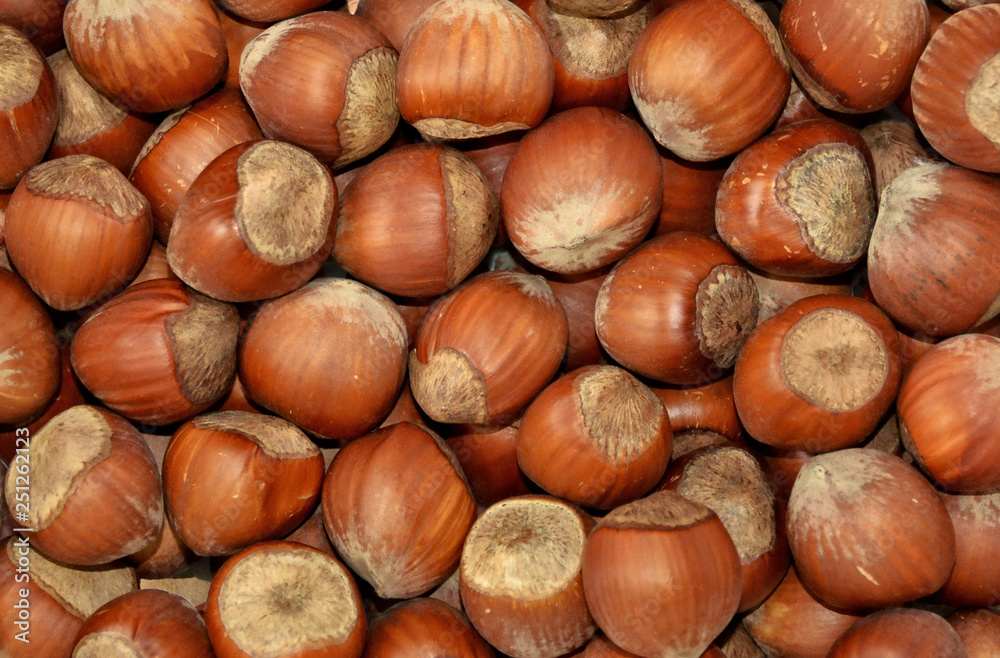 Nuts. Food background. Nice hazelnuts. Organic texture. Top view Nuts. Food background. Nice hazelnuts. Organic texture. Top view