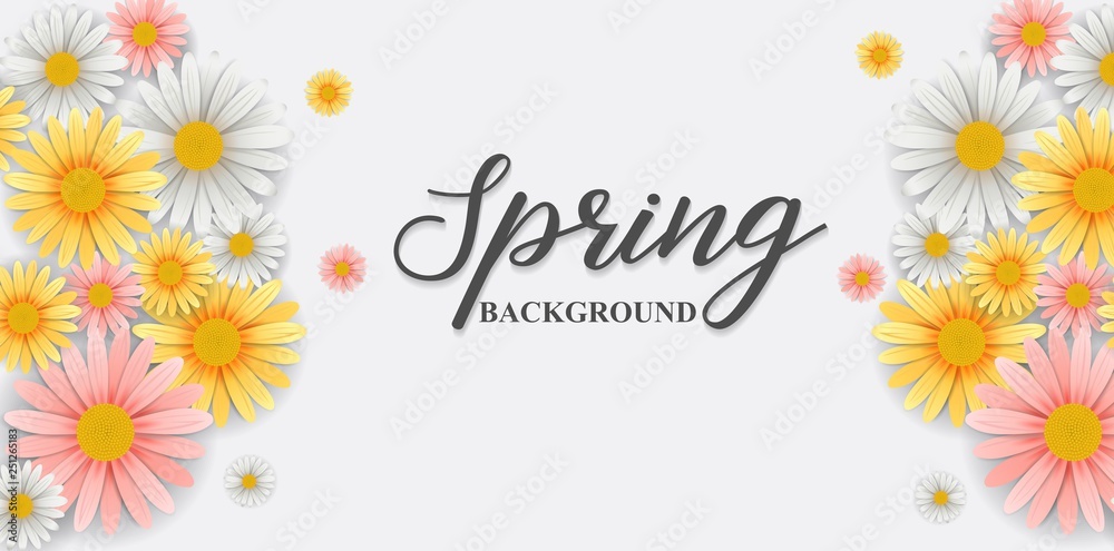 Spring background with beautiful flower