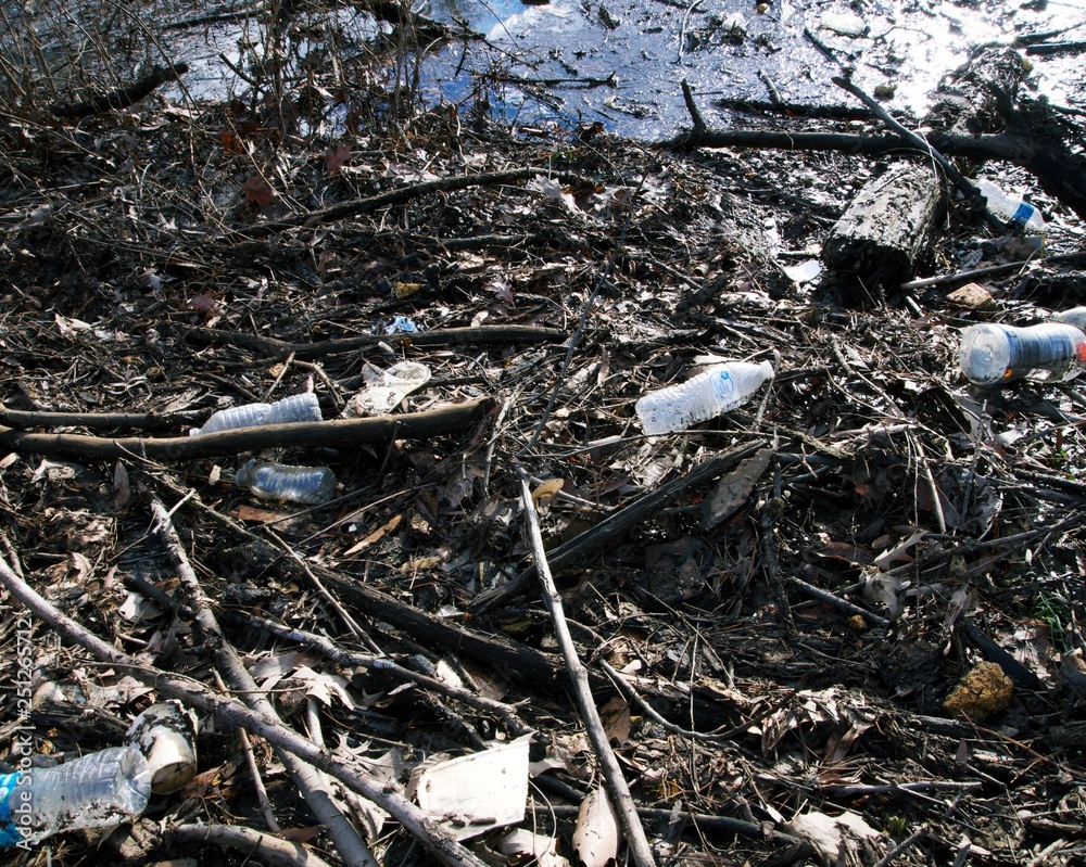 Plastic pollution in pond