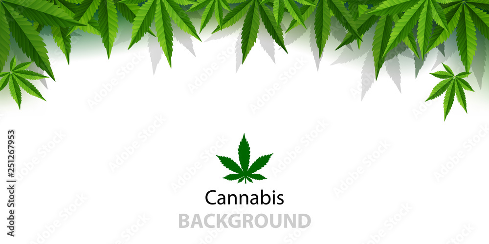 custom made wallpaper toronto digitalMarijuana plant and cannabis on white backgrounds.