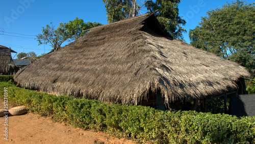 Thatch photo