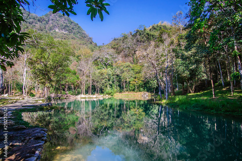 Fototapeta Naklejka Na Ścianę i Meble -  Swamp in Tham Luang - Khun Nam Nang Non Forest Park, Chiang Rai, Nort of Thailand