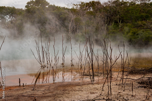 Boiling hot pool in Kuirau volcanic park in Rotorua, New Zealand photo