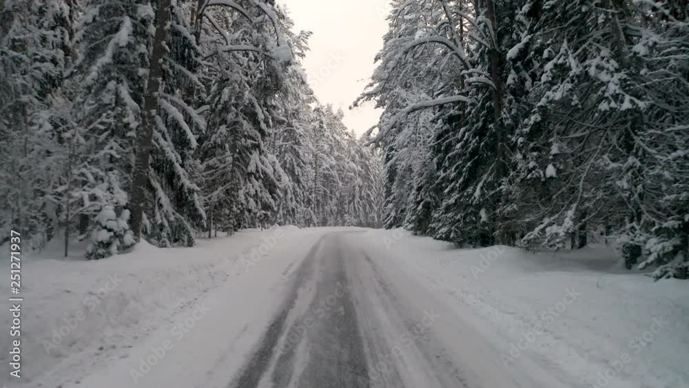 Passing through the forest road on a winter season Passing through the forest road on a winter season