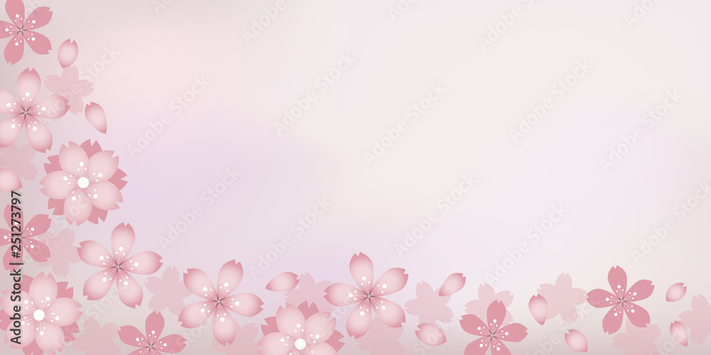 Sakura, cherry blossom banner, background - spring, pastel, flowers Sakura, cherry blossom banner, background - spring, pastel, flowers