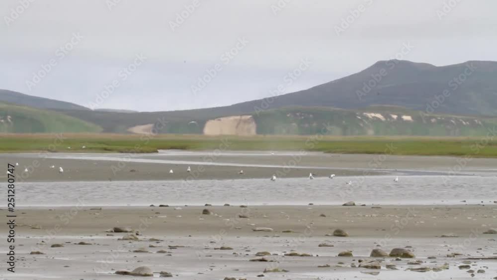 Kamchatka beach Kamchatka beach