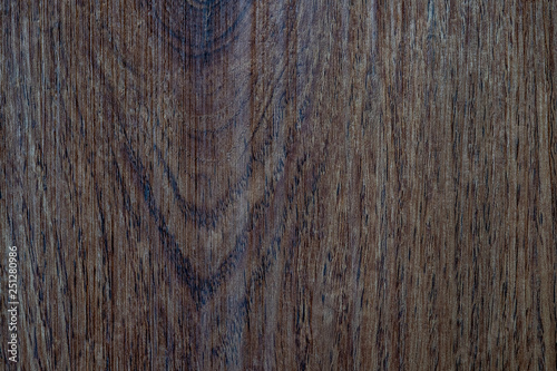  Wood texture for design Wood texture
