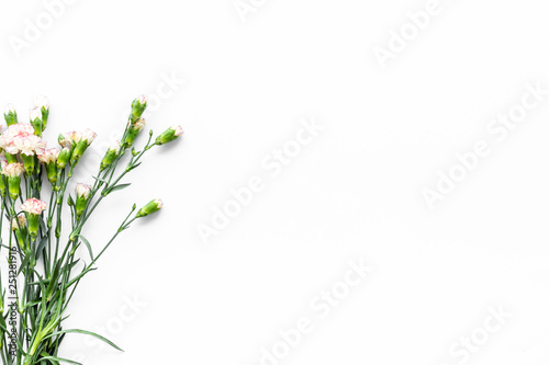 Delicate spring flowers. Small pink carnation on white background top view copy space © 9dreamstudio
