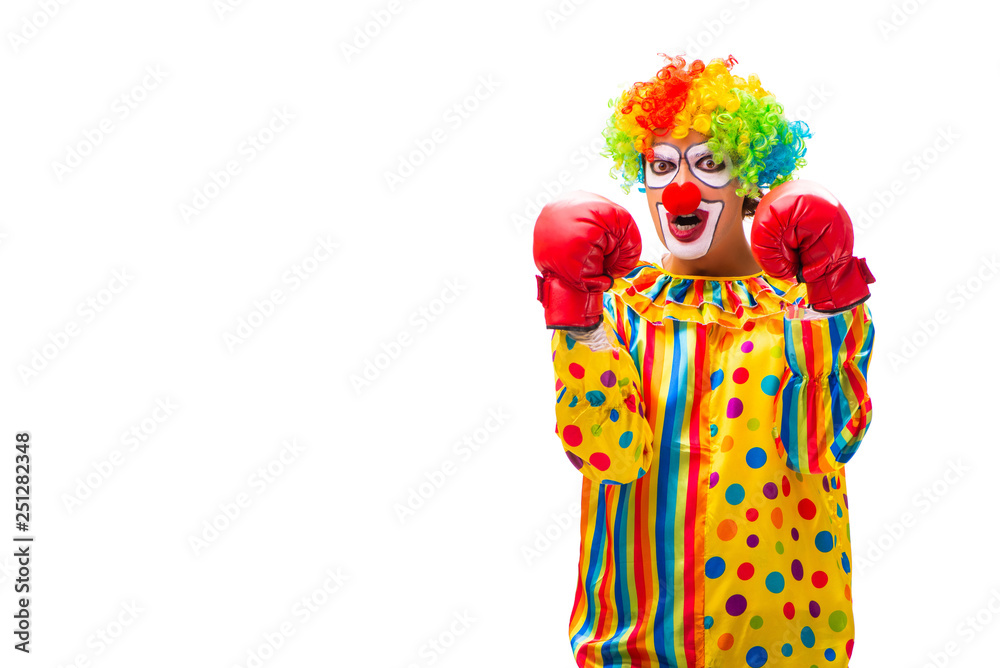 Male clown isolated on white Male clown isolated on white